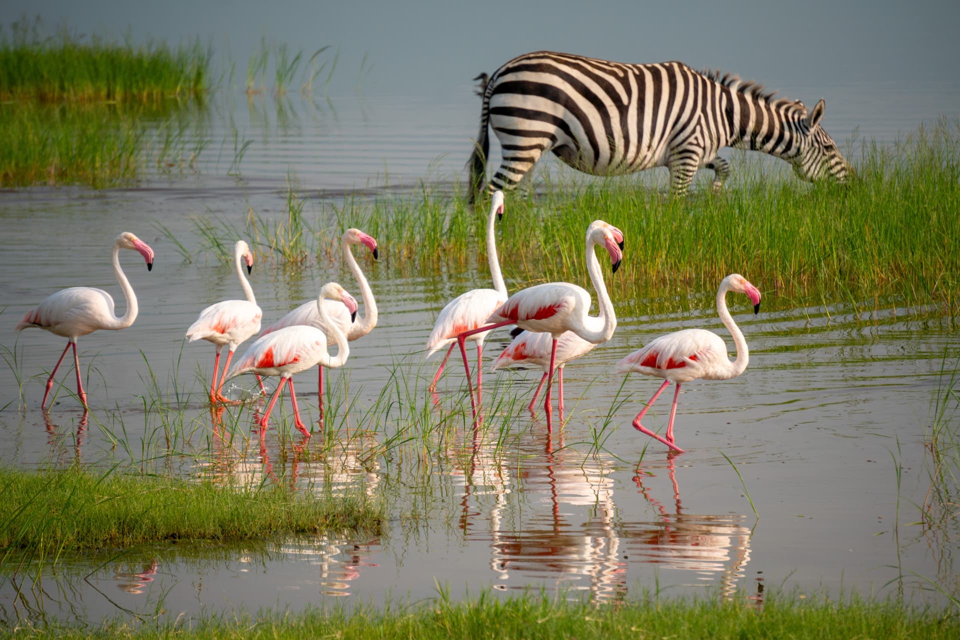 Lake Manyara National Park, Tanzania