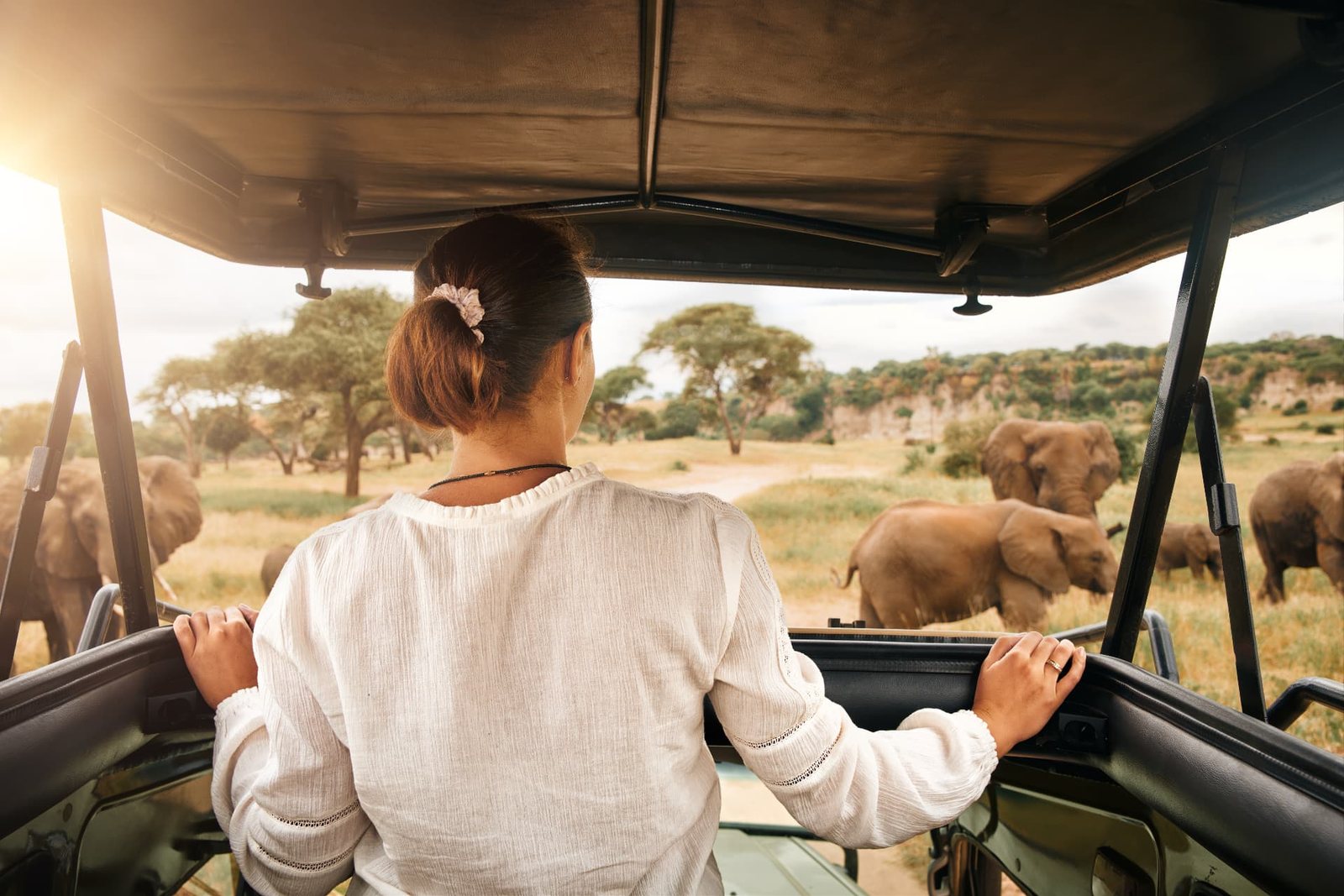 Guest standing in a safari vehicle watching an elephant herd in Tarangire